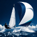 Olympic Sailing
