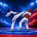 Olympic Taekwondo