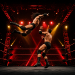 WWE Wrestling